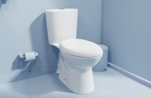 Sanitarios de dos piezas